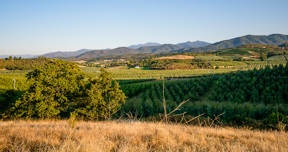 Photos of Bear Creek Estates